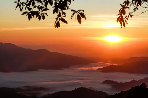 ลานกางเต็นท์ห้วยน้ำดัง