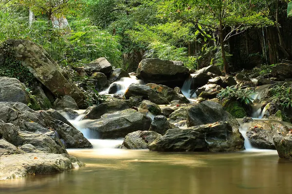 ลานกางเต็นท์ อช.ลานสาง