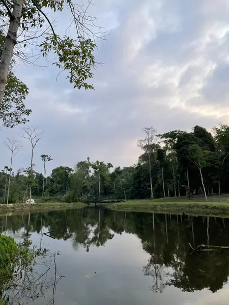 ลานกางเต็นท์ อุทยานแห่งชาติภูเวียง