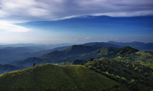 ลานกางเต็นท์ อุทยานแห่งชาติทองผาภูมิ (เนินกูดดอย)