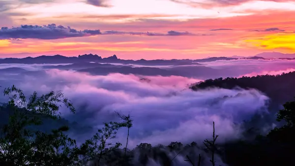 ลานสวนสน อช.ตากสินมหาราช