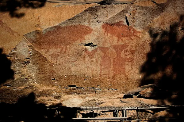 ลานกางเต็นท์ผาชะนะได (อช.ผาแต้ม)