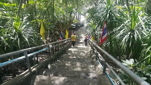 พุหางนาค